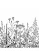 Papier Peint Panoramique Sur Mesure - Gravure - Prairie