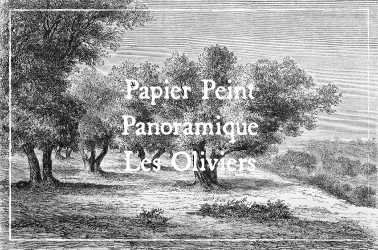 Papier peint Panoramique sur mesure - Gravure Les Oliviers